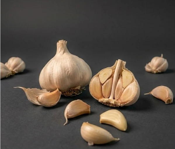 use of Garlic for mosqutoe removal