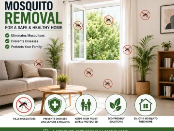How to remove mosquitoes from home naturally